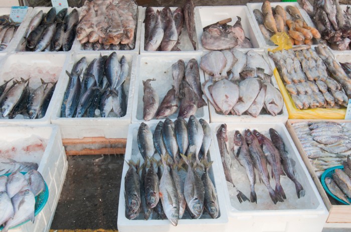 Deungchon by Meagan Mastriani