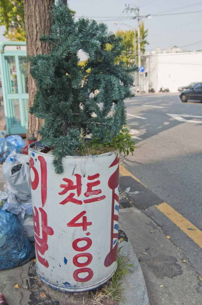 Jegi-dong by Meagan Mastriani