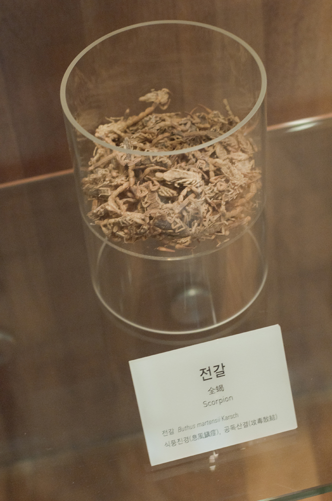 Jegi-dong by Meagan Mastriani