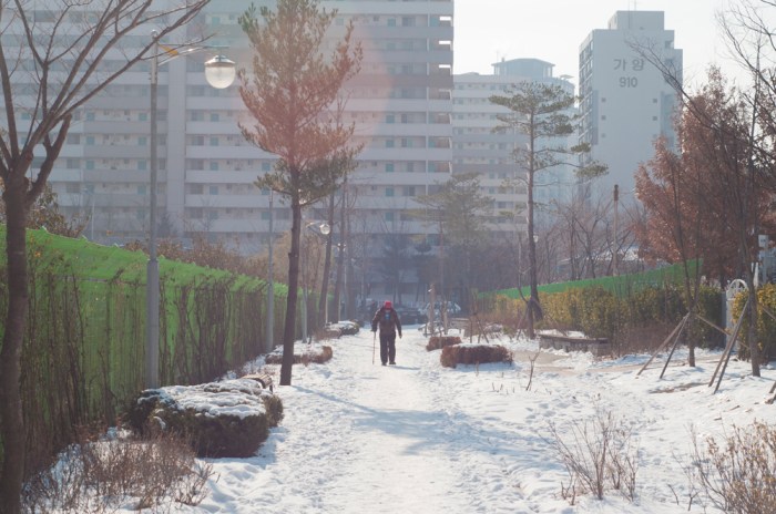 Jeungmi by Meagan Mastriani