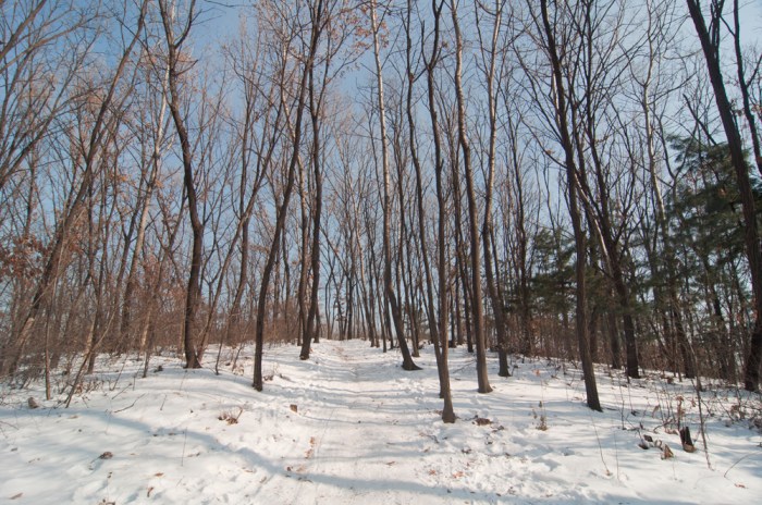 Jeungmi by Meagan Mastriani