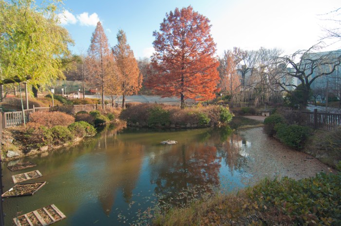 Hoegi by Meagan Mastriani