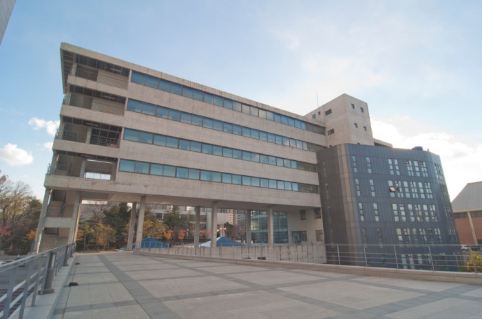 Hoegi by Meagan Mastriani