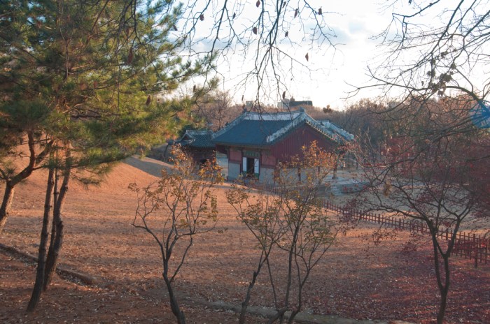 Hoegi by Meagan Mastriani