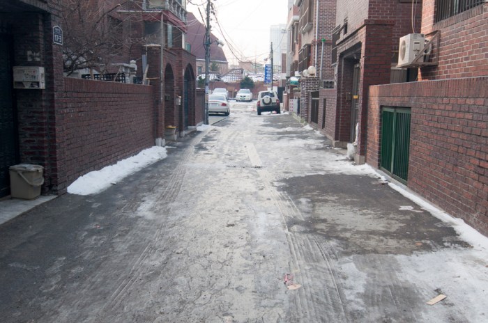 Wolgok by Meagan Mastriani