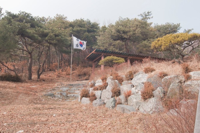 Gaehwa by Meagan Mastriani