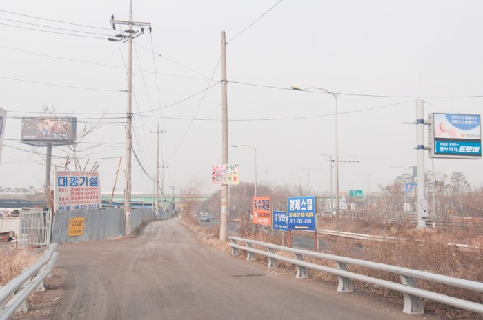 Gaehwa by Meagan Mastriani