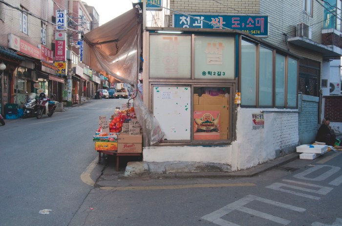 Jangseungbaegi by Meagan Mastriani