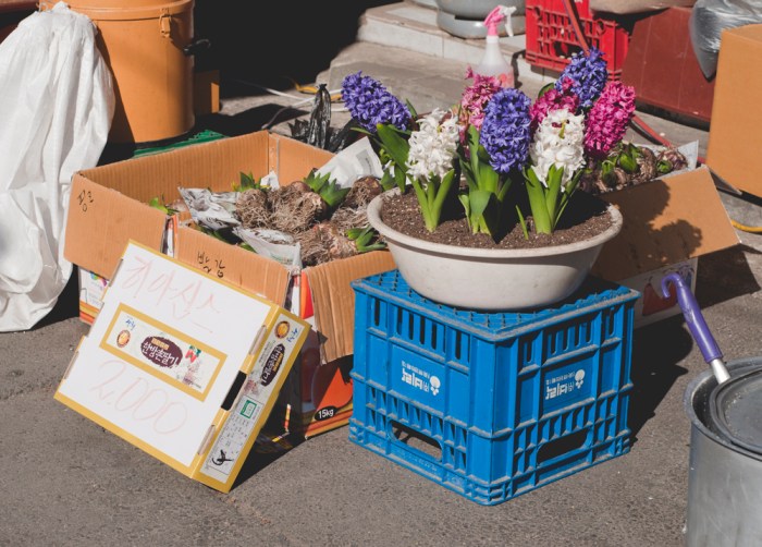 Jangseungbaegi by Meagan Mastriani