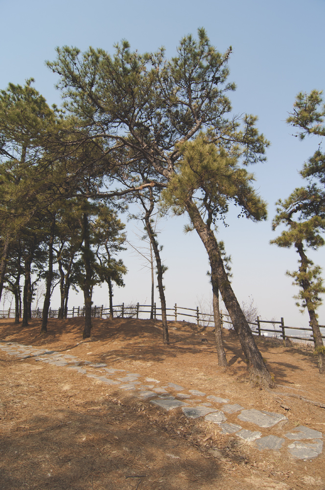 Yangcheon Hyanggyo by Meagan Mastriani