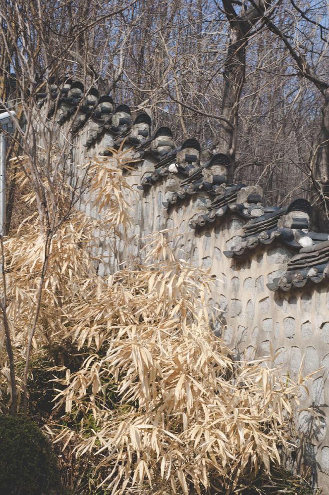 Yangcheon Hyanggyo by Meagan Mastriani